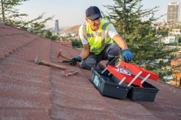 Best Steel Siding Installation  in Fort Carson, CO